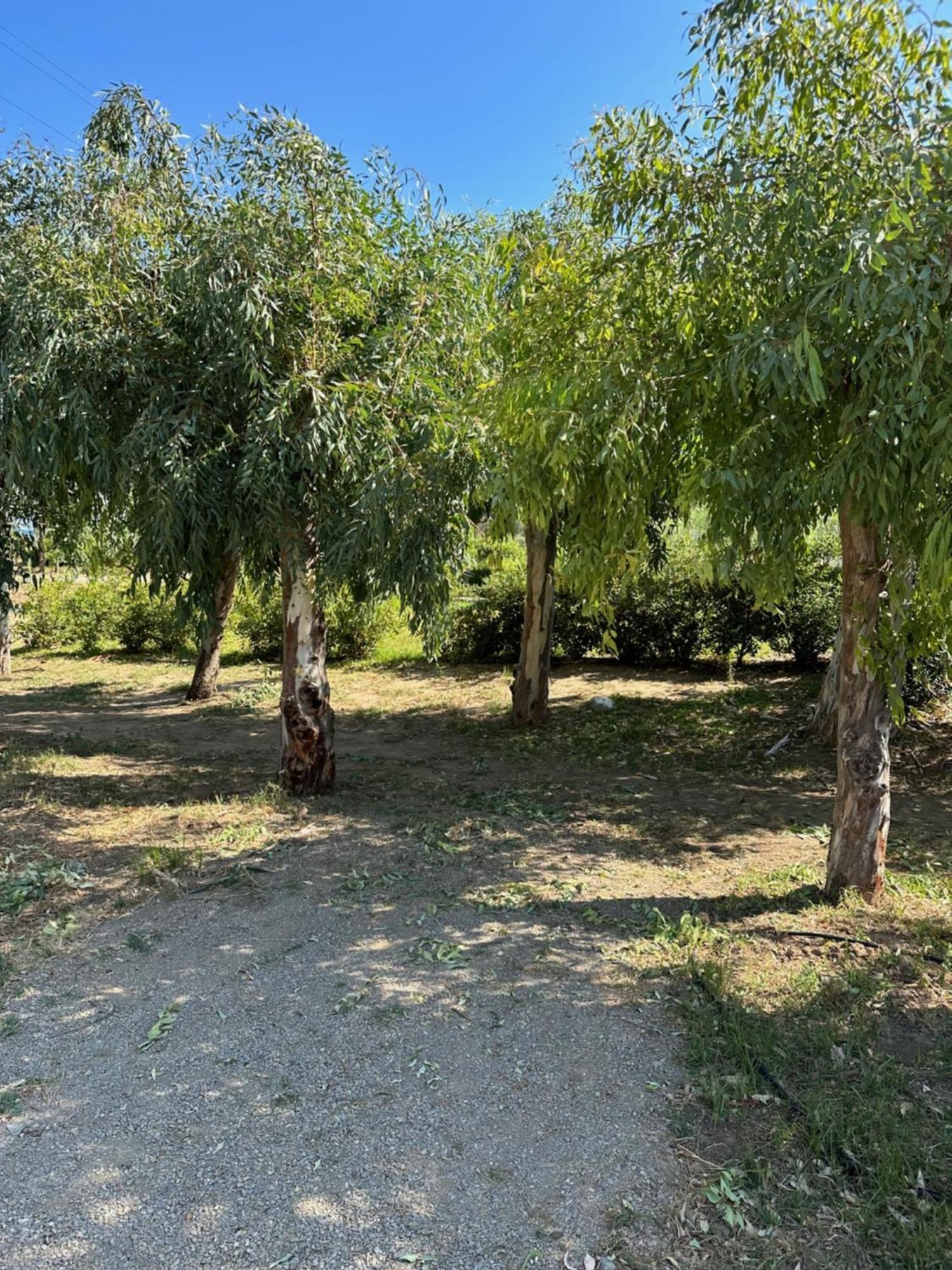 צ'פאלו Villa Memi מראה חיצוני תמונה